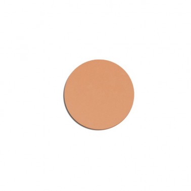 copy of MAGNETIC PANS FOUNDATION WET&DRY N.01