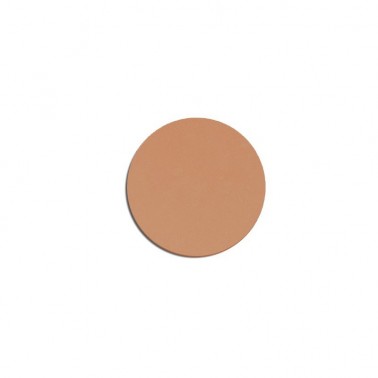 copy of MAGNETIC PANS FOUNDATION WET&DRY N.01